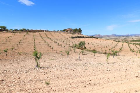 Finca i Lorca, Murcia, Lorca - € 249.950 | Ref: 2271-VL - foto 48
